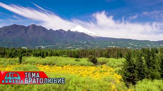 Стихи из Библии - Братолюбие