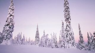 Стихи из Библии - Божья Любовь