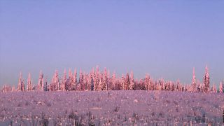 Стихи из Библии - Божья Любовь