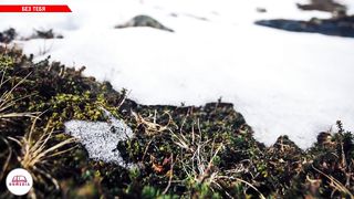 Валентина Ильина - Без Тебя