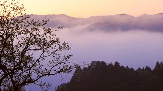 Ксения Кузнецова - Наслаждаюсь тобой