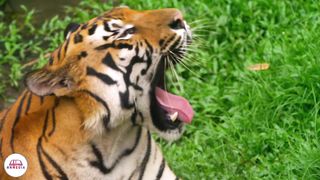 Стихи из Библии - Спасение