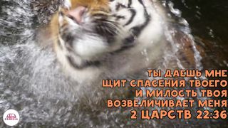 Стихи из Библии - Спасение