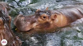 Стихи из Библии - Спасение