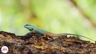 Стихи из Библии - Спасение