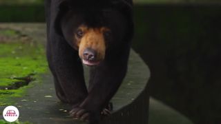 Стихи из Библии - Спасение