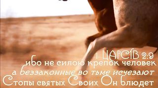 Стихи из Библии - Сила