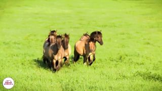 Стихи из Библии - Сила