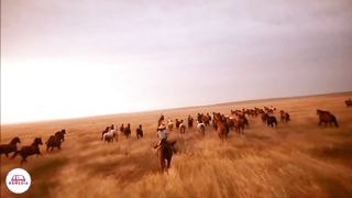 Стихи из Библии - Сила