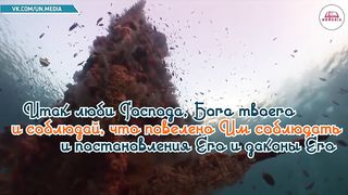 Стихи из Библии - Любовь