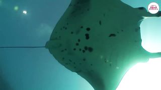 Стихи из Библии - Любовь