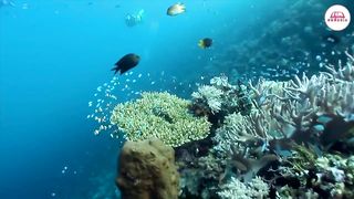 Стихи из Библии - Любовь