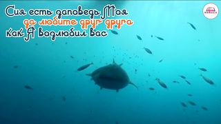 Стихи из Библии - Любовь