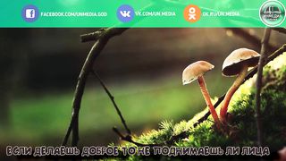 Стихи из Библии - Грех