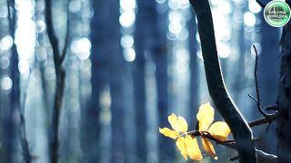 Стихи из Библии - Грех