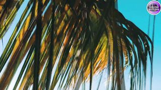 Skeemans Worship – Ищу Тебя