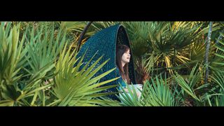 Alina Donica - В тени крыл Твоих