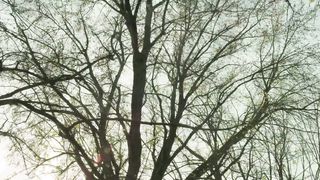 Simon Khorolskiy - Благослови Душа Моя Господа