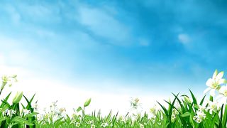 Сто дорог на земле, что же выбрать тебе?