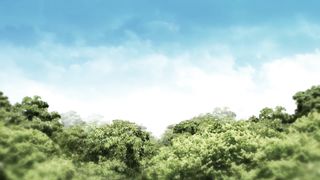 Радость в сердце у праведника