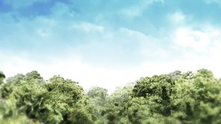 Радость в сердце у праведника