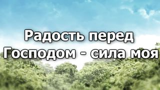 Радость в сердце у праведника
