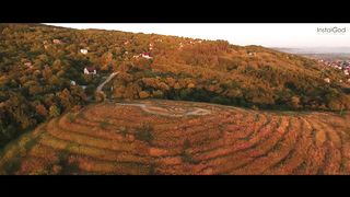 Свет в тебе