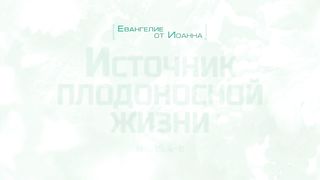 Алексей Коломийцев - Источник плодоносной жизни