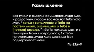Алексей Коломийцев - Источник плодоносной жизни