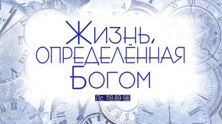 Алексей Коломийцев - Жизнь, определенная Богом