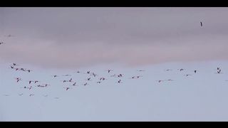 Сотворение мира согласно книге Бытие