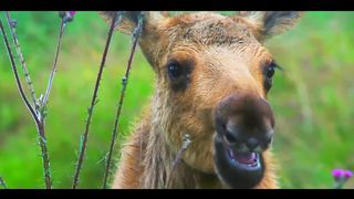 Сотворение мира согласно книге Бытие