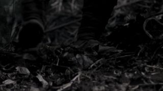 Сестры войны (2010)