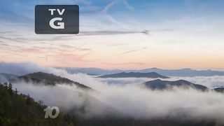 Жизнь во всех красках (2015)