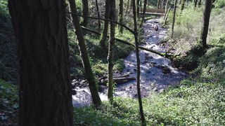 Simon Khorolskiy - Знаешь ли ручей что бежит