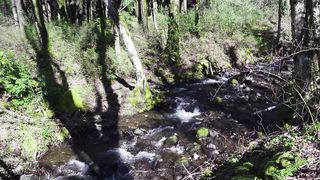 Simon Khorolskiy - Знаешь ли ручей что бежит