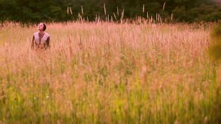 Скажи Миру (2016)