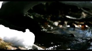 Дай мне гореть Тобой