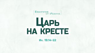 Алексей Коломийцев - Царь на кресте