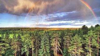 Ты не смотри по сторонам (караоке)