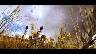 SokolovBrothers - Искуплен навеки