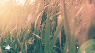 Hillsong - Я знаю кто я в Тебе