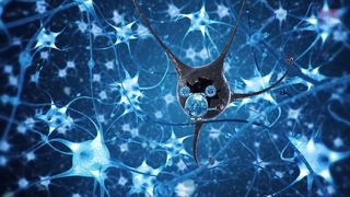 Опасное погружение