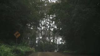 Лидия Винничук - Прости меня за все