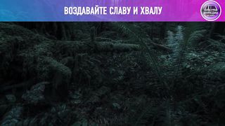 Лидия Винничук - Прости меня за все