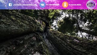 Лидия Винничук - Прости меня за все