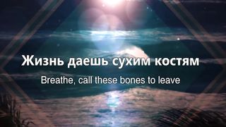 Наталья Доценко - Приводишь тьму Ты в трепет