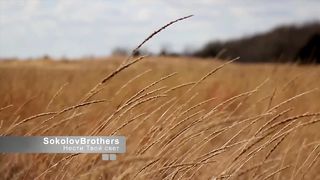 SokolovBrothers - Нести Твои свет