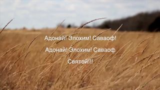 SokolovBrothers - Нести Твои свет