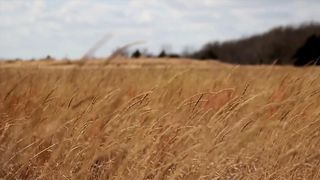 SokolovBrothers - Нести Твои свет